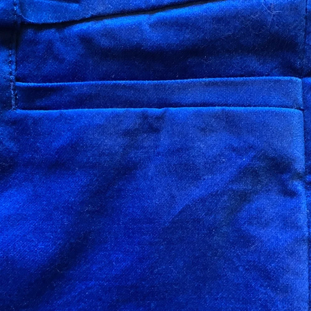Beautiful rich blue velvet skinny pant - Picture 4 of 5